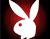 Erotické Playboy Bunny